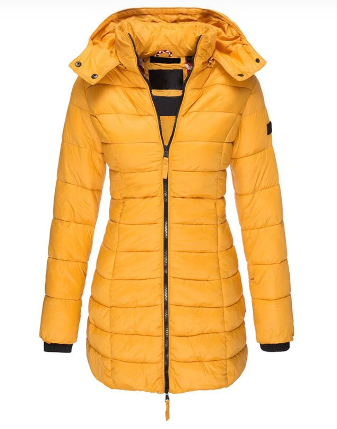 Giacca Imbottita Donna con Cappuccio Chiusura a Zip