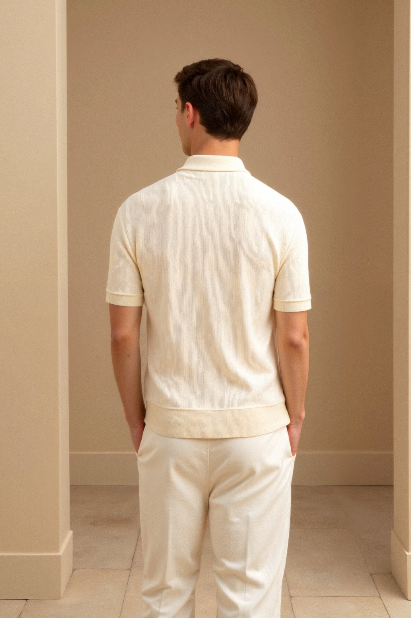 Polo Uomo Elegante Classico Vestibilità Regular